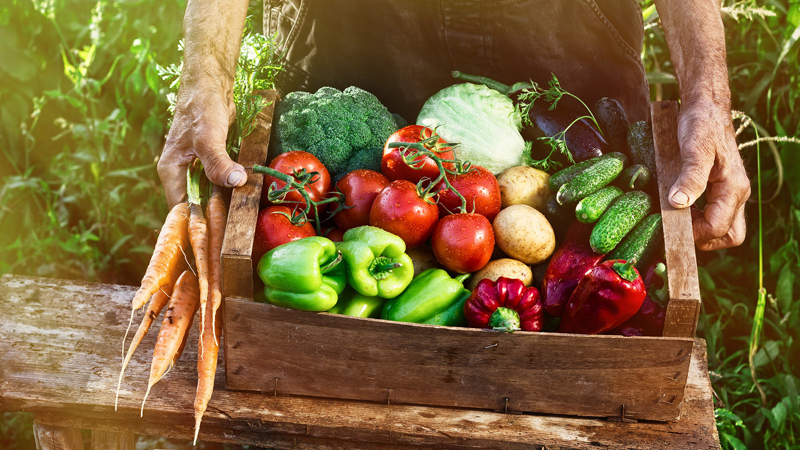 Production agricole et élevage